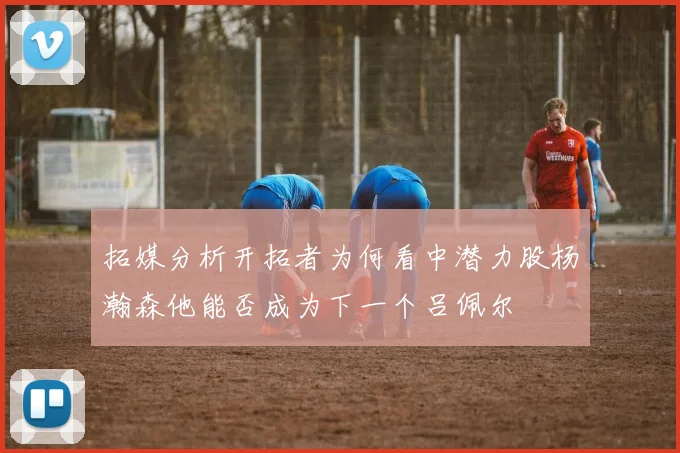 拓媒分析开拓者为何看中潜力股杨瀚森他能否成为下一个吕佩尔