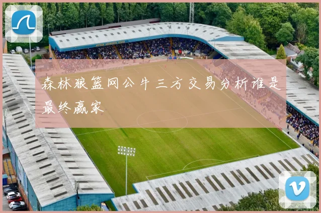 森林狼篮网公牛三方交易分析谁是最终赢家