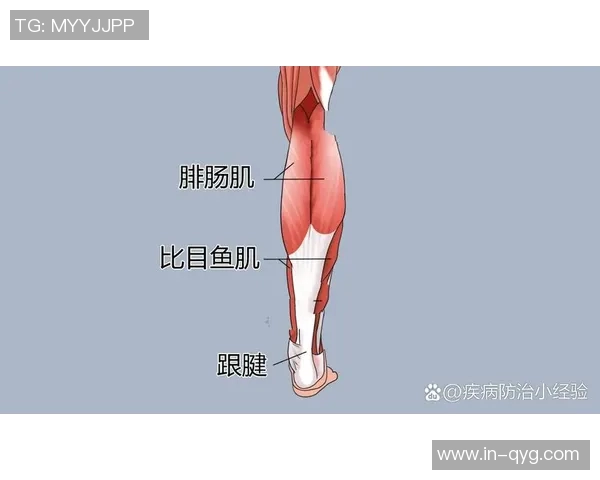 迪巴拉分享普拉提训练经验助力比目鱼肌提升表现